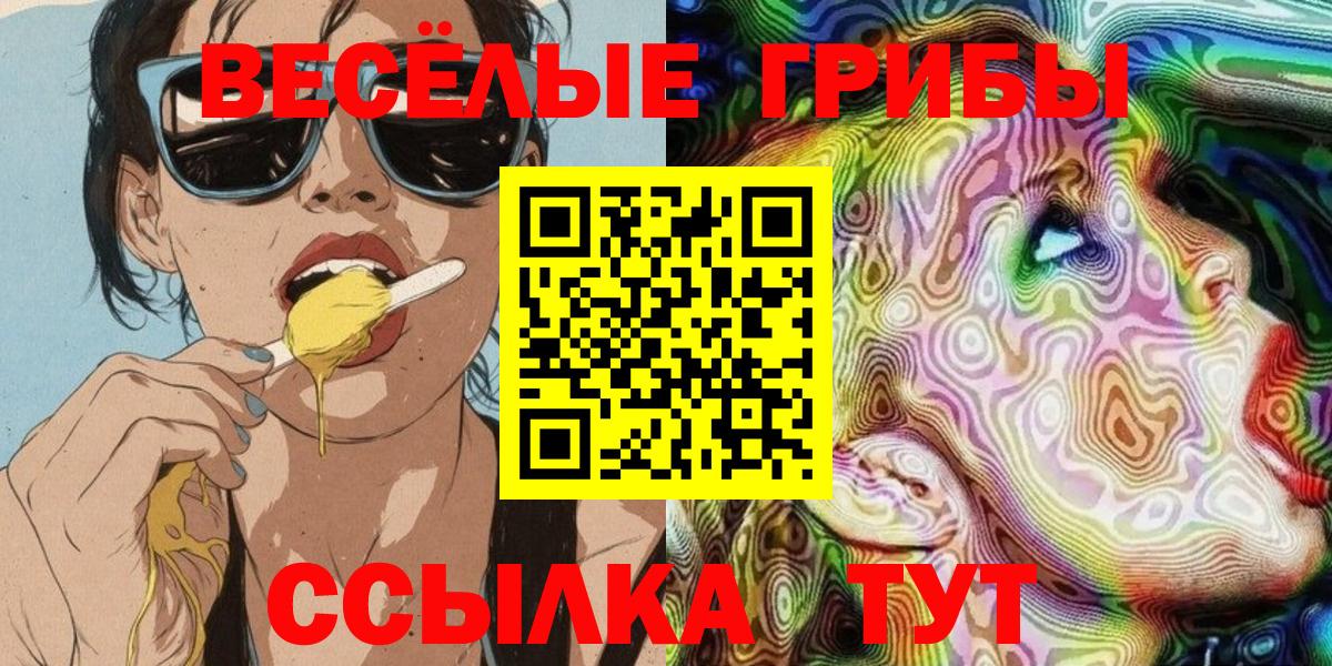 Псилоцибиновые грибы MAGIC MUSHROOMS Камышин