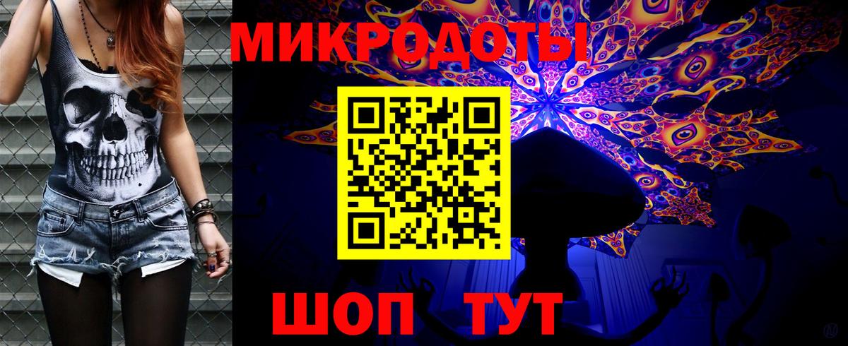 Галлюциногенные грибы Cubensis  Галлюциногенные грибы прущие грибы  Вход с VPN  Камышин 