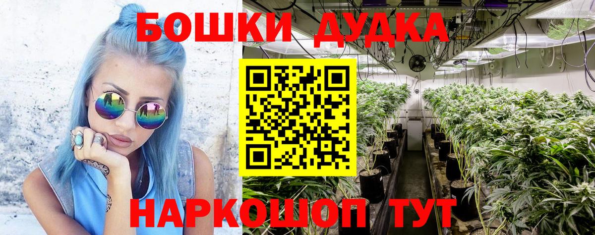Бошки марихуана тримм  Вход с VPN  МАРИХУАНА ГИДРОПОН  Камышин 